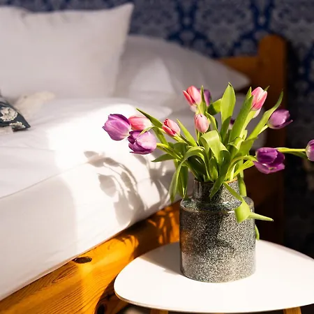 Sipos Borház és 3*