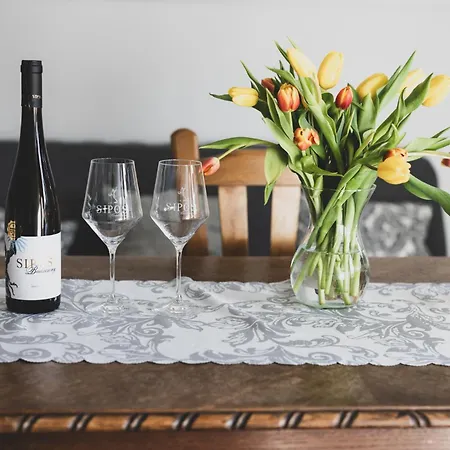 Pensión Sipos Borház és