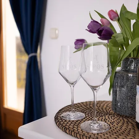 Pensión Sipos Borház és 3*