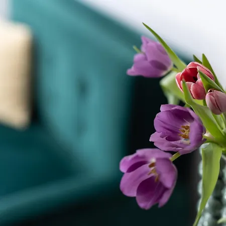 Pensión Sipos Borház és Badacsonyörs