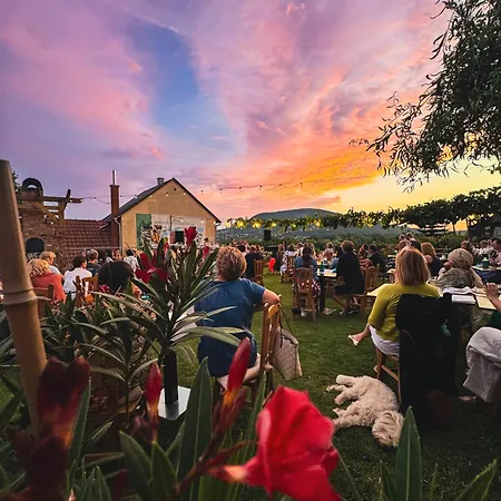 Pensión Sipos Borház és 3*