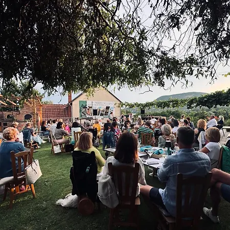 Pensión Sipos Borház és